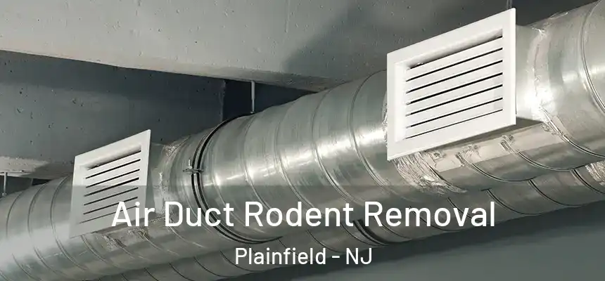 Air Duct Rodent Removal Plainfield - NJ