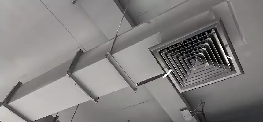 Our Rodent Droppings In Vents Services in Plainfield, NJ