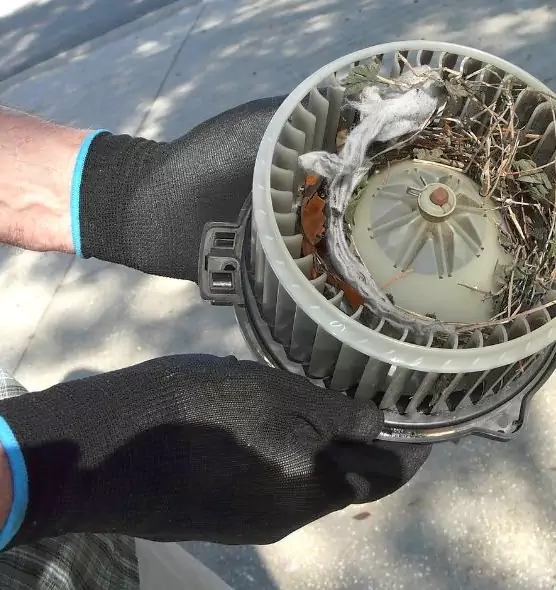 About Air Duct Mice Removal in Plainfield, NJ