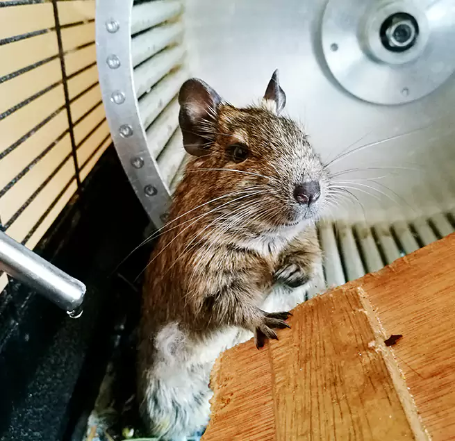 Why Homeowners & Businesses Trust Us Plainfield, NJ?