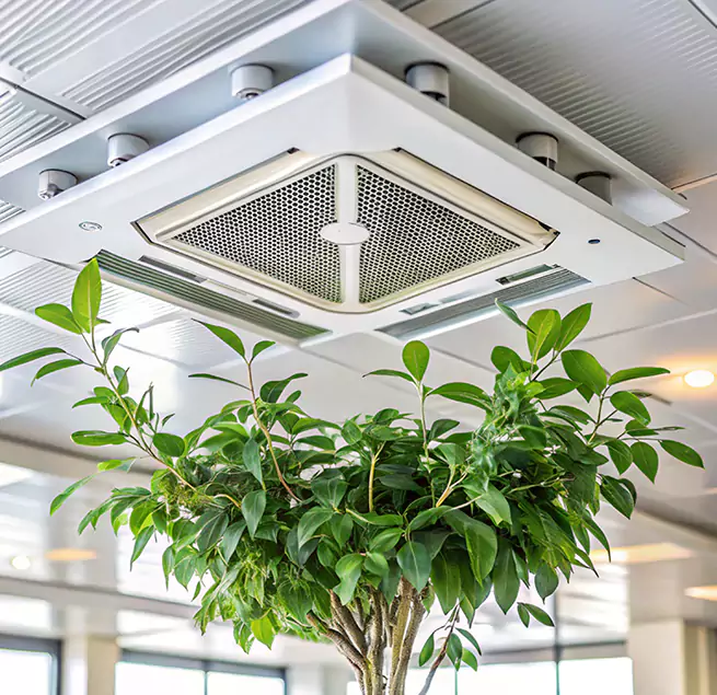 Why Homeowners & Businesses Trust Us in Plainfield, NJ?