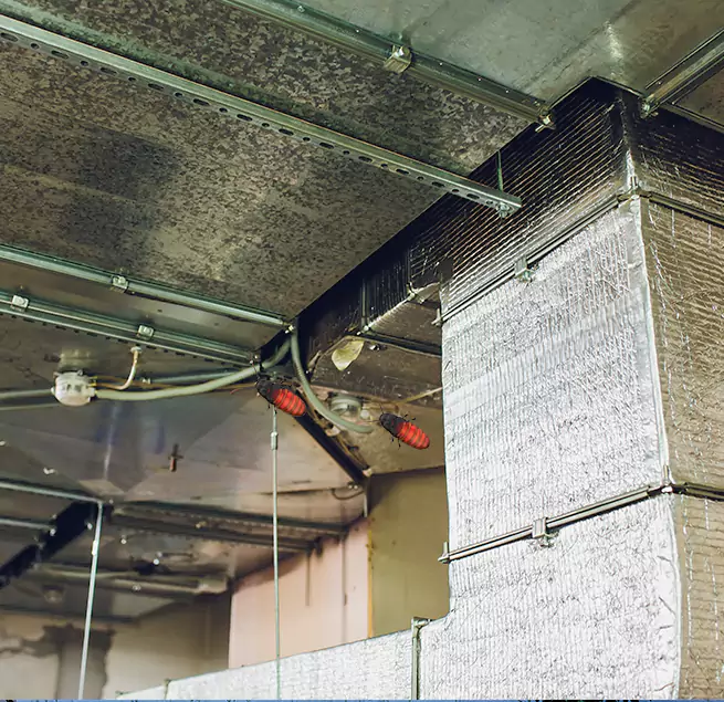 Why Homeowners & Businesses Trust Us Plainfield, NJ?