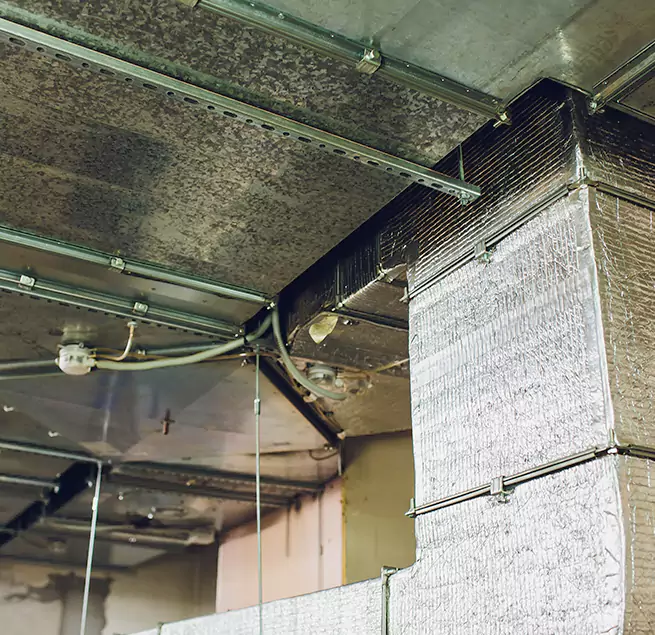 Why Homeowners & Businesses Trust Us in Plainfield, NJ?